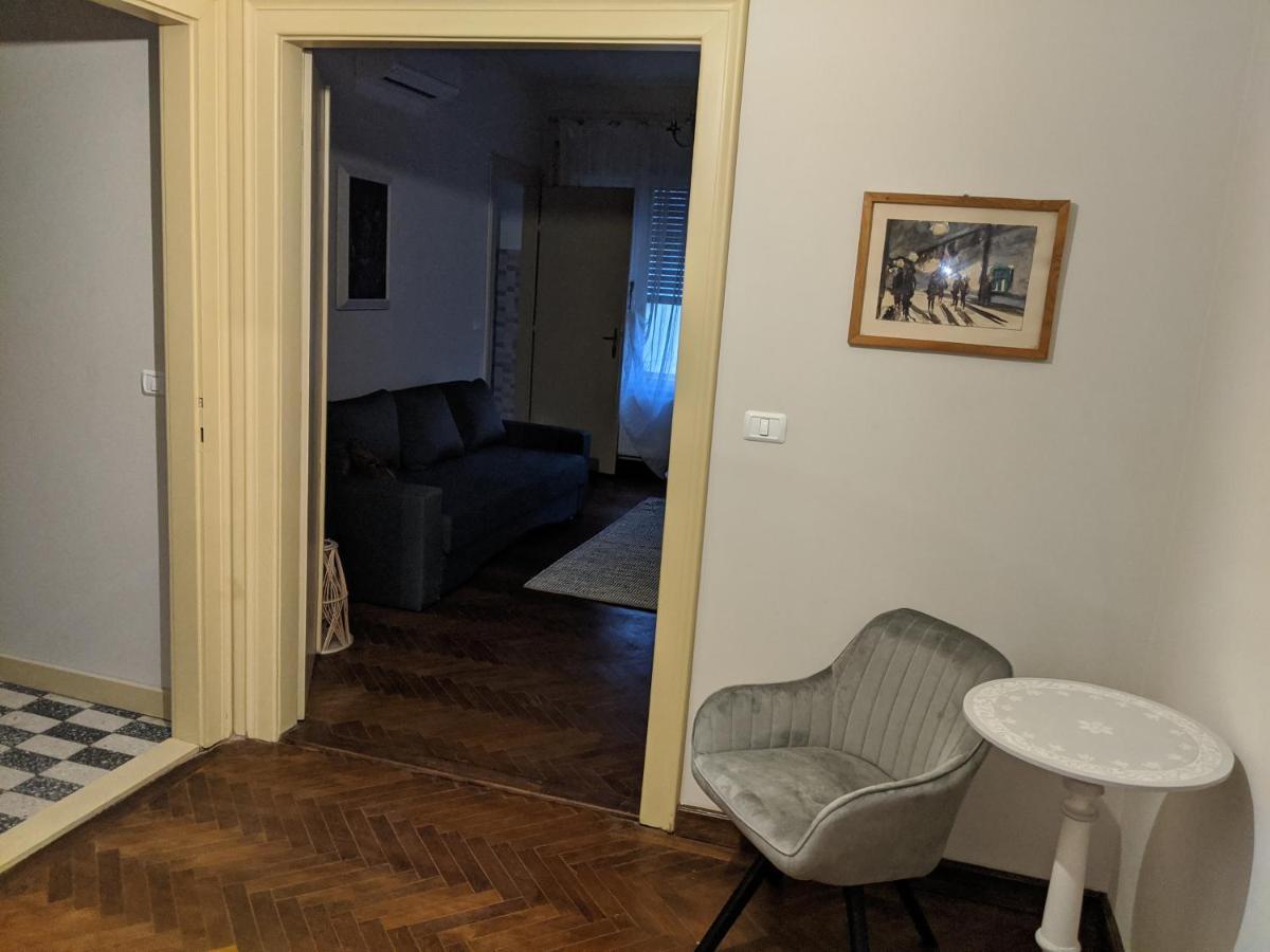 Cristian Apartment Near Old Town Timisoara Esterno foto