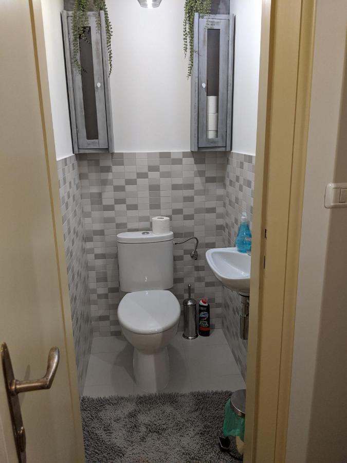 Cristian Apartment Near Old Town Timisoara Esterno foto