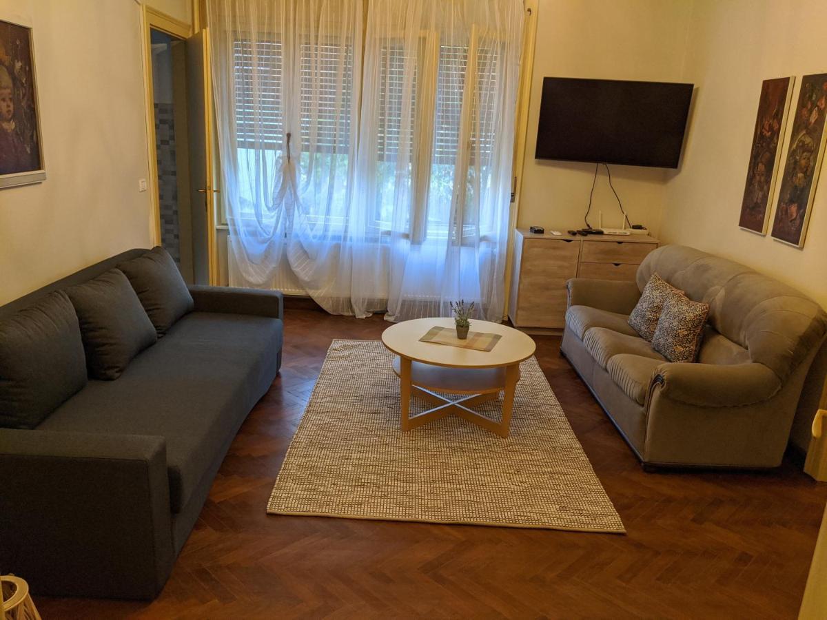 Cristian Apartment Near Old Town Timisoara Esterno foto