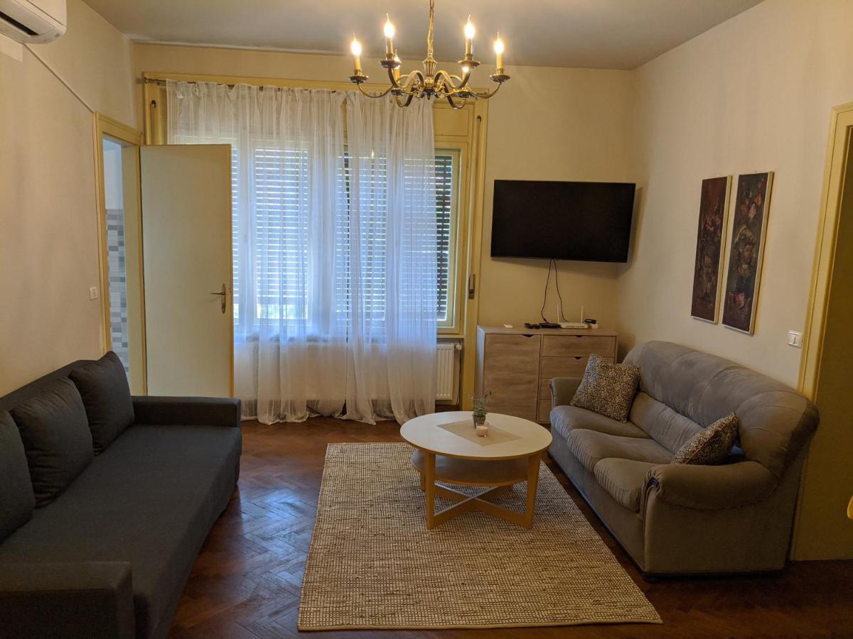 Cristian Apartment Near Old Town Timisoara Esterno foto